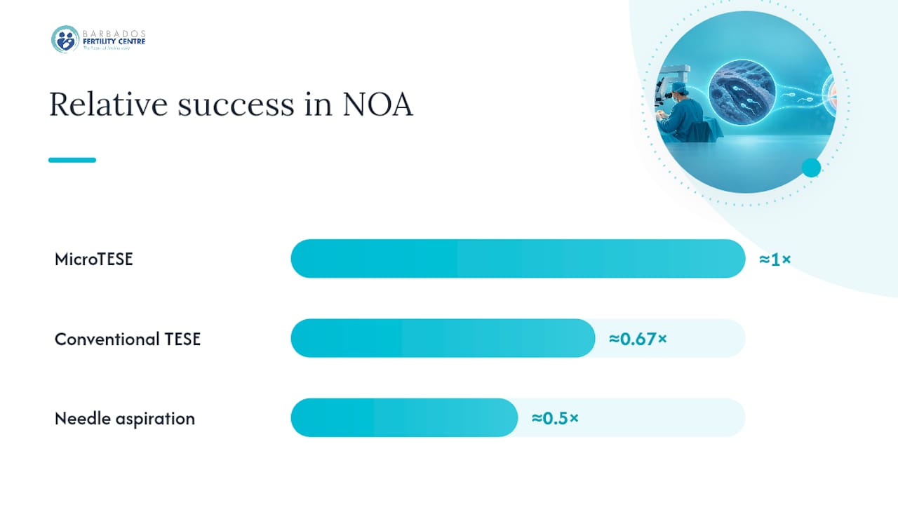 Why Microsurgical TESE Is the Standard for NOA — overview diagram
