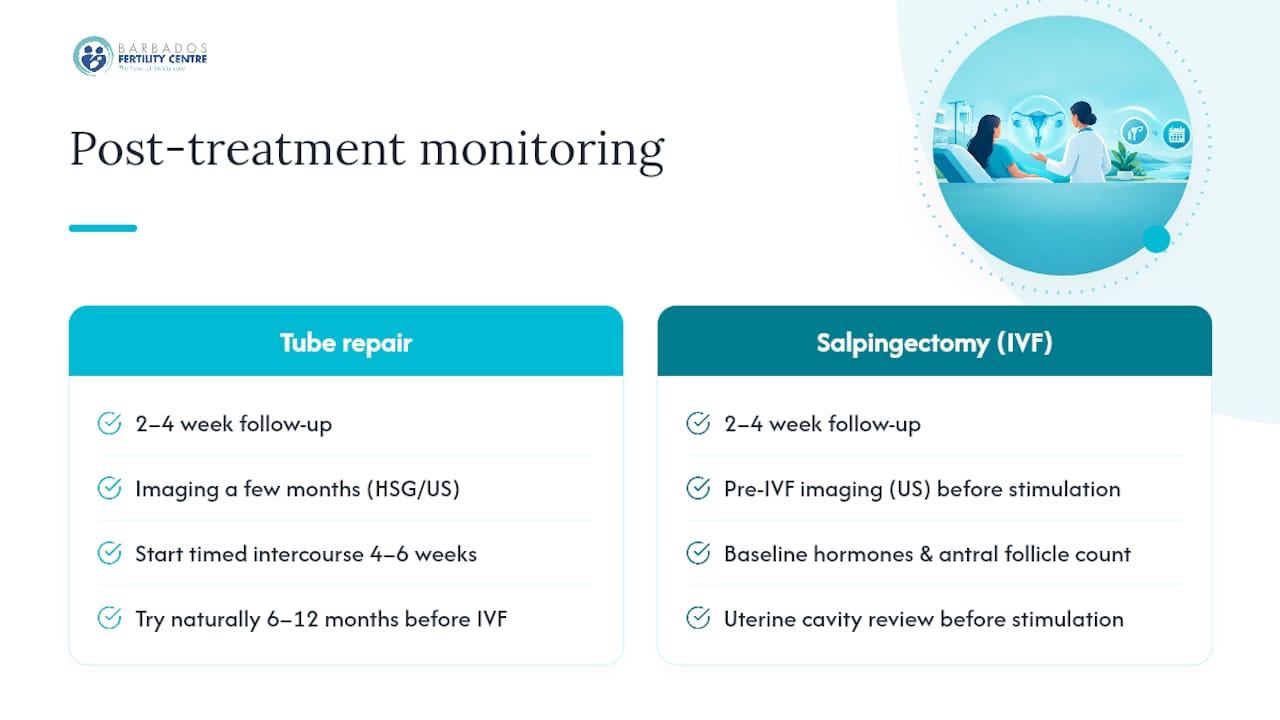 Post-Treatment Care and Monitoring — overview diagram