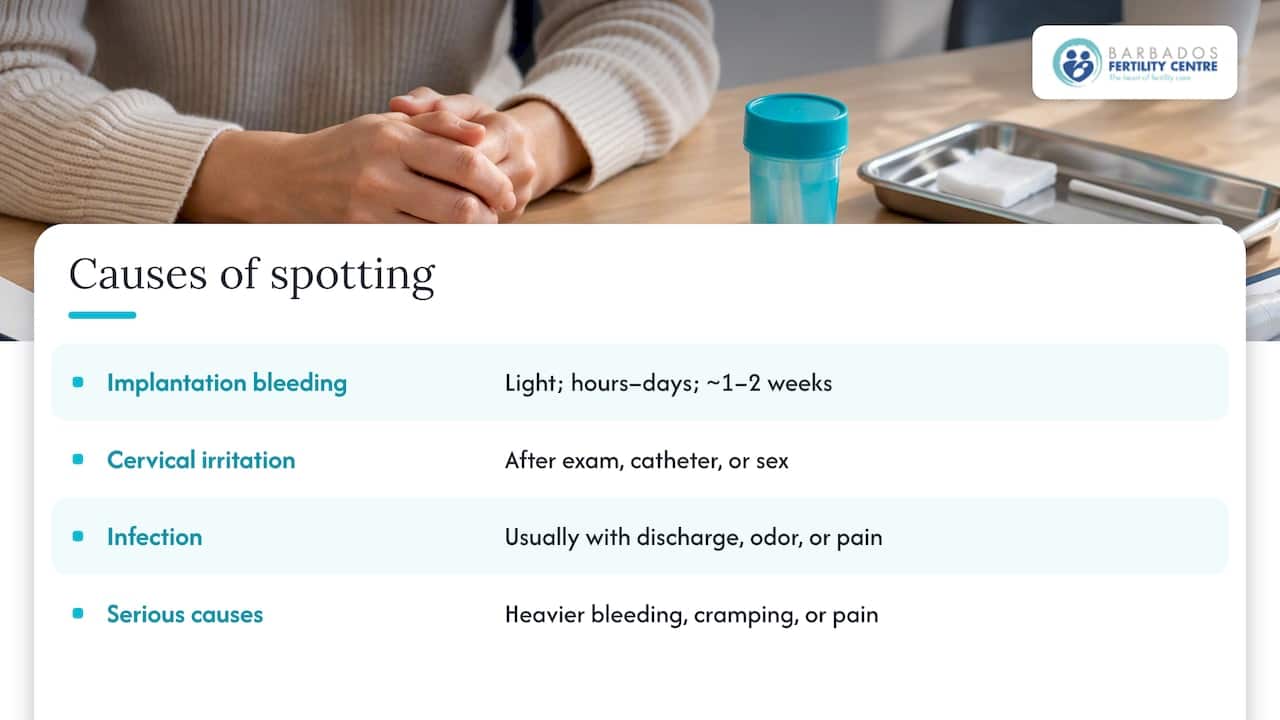 What actually causes spotting after your transfer — overview diagram