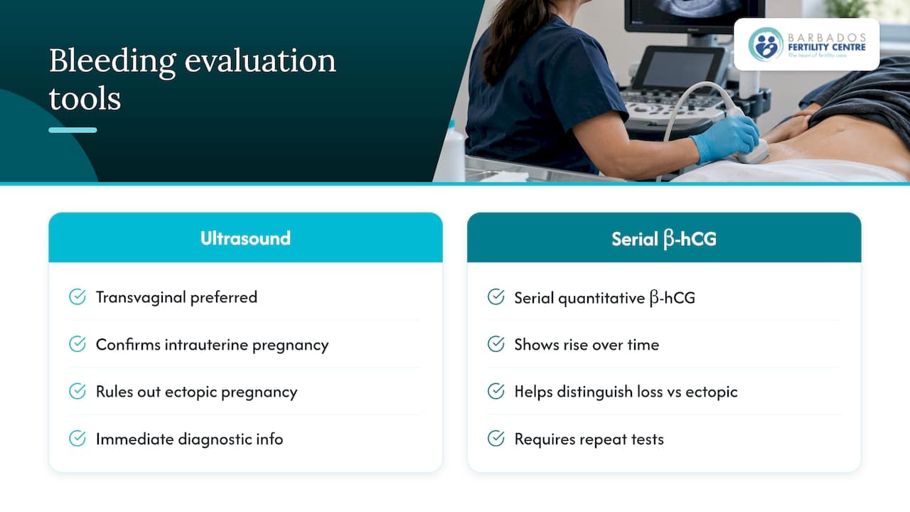 How clinics evaluate bleeding after a transfer — overview diagram