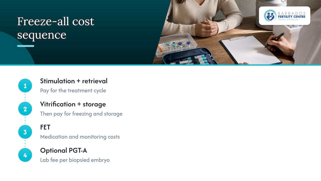 Freeze-all IVF treatment cost stages