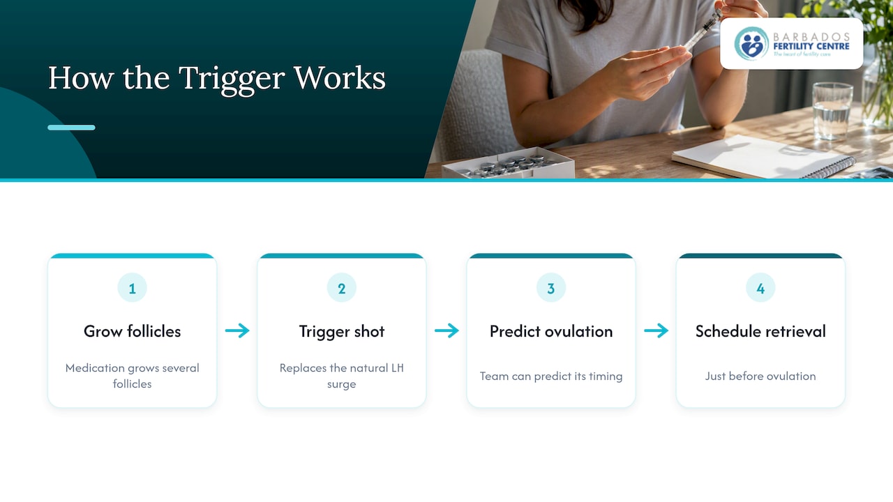 What the trigger shot does — overview diagram
